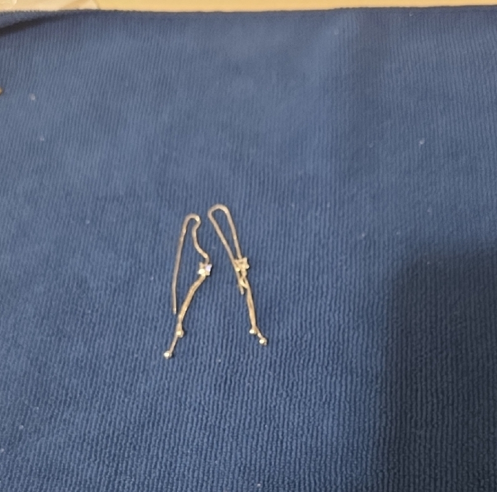 Elegant Silver  Drop Earrings